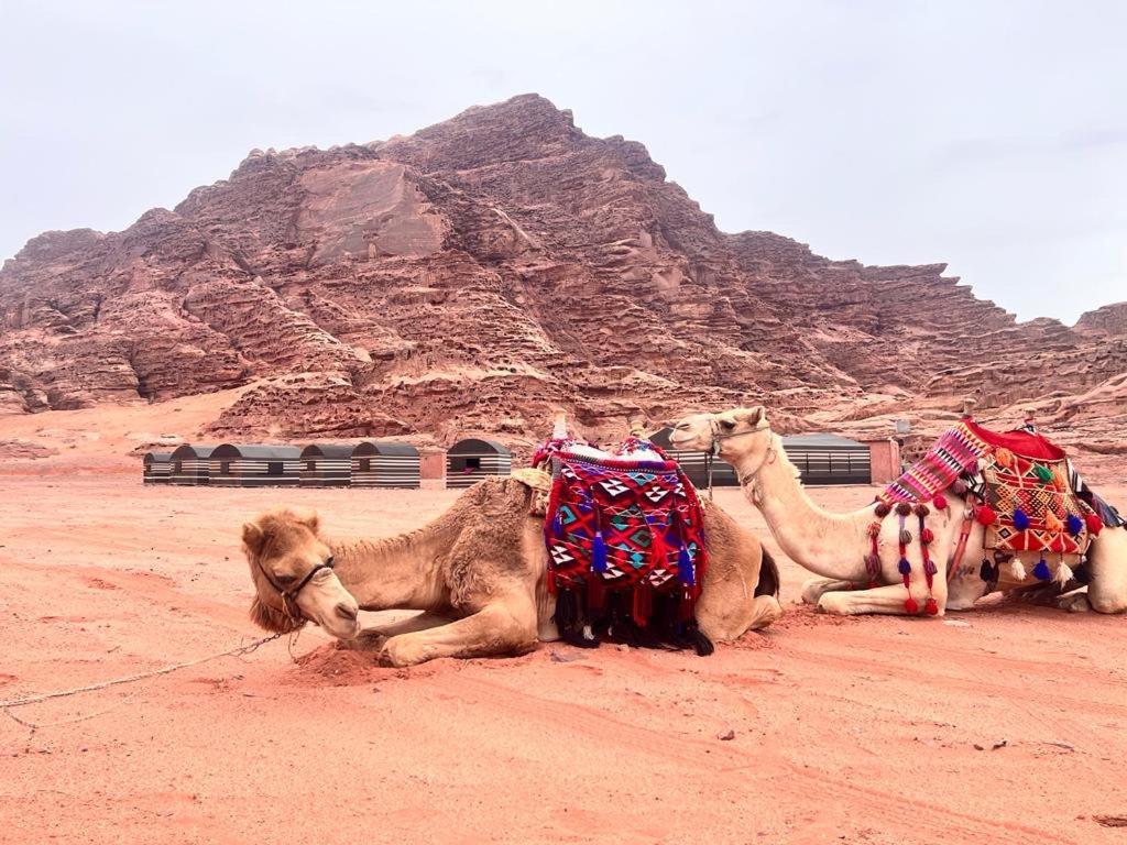 Wadi Rum Sky Tours & Camp Экстерьер фото
